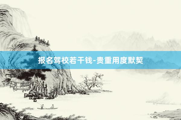 报名驾校若干钱-贵重用度默契