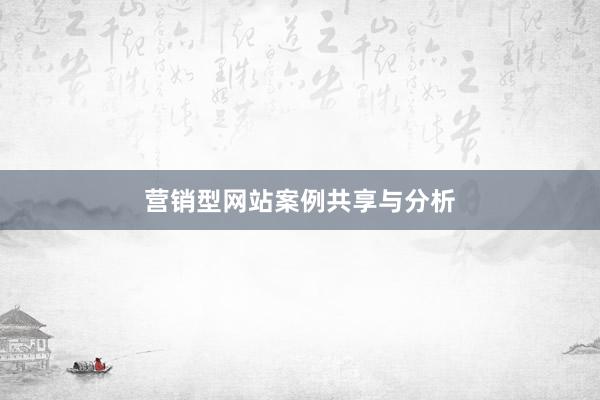 营销型网站案例共享与分析