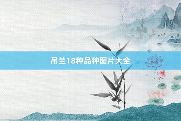 吊兰18种品种图片大全