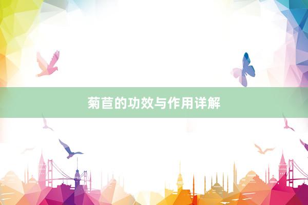 菊苣的功效与作用详解